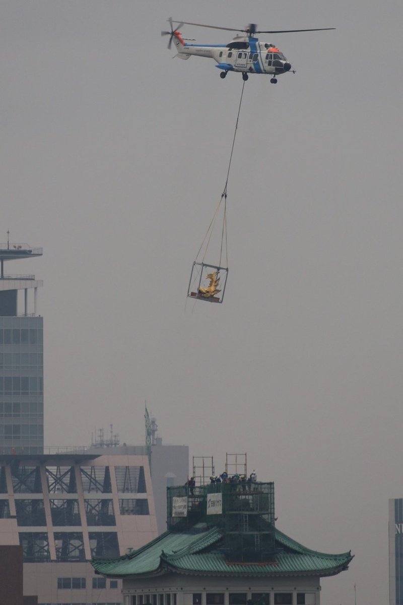名古屋城の金鯱、空を飛ぶ。