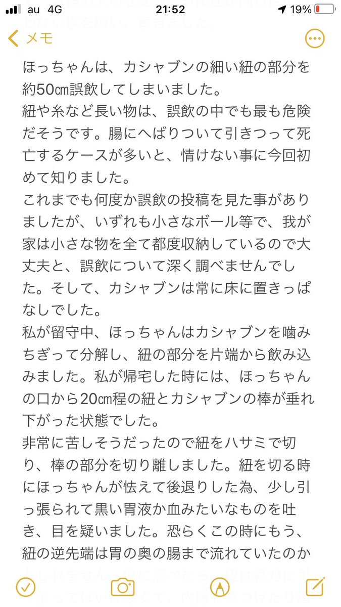 獣医さんが猫に「絶対渡さない」オモチャのリンクも貼ります