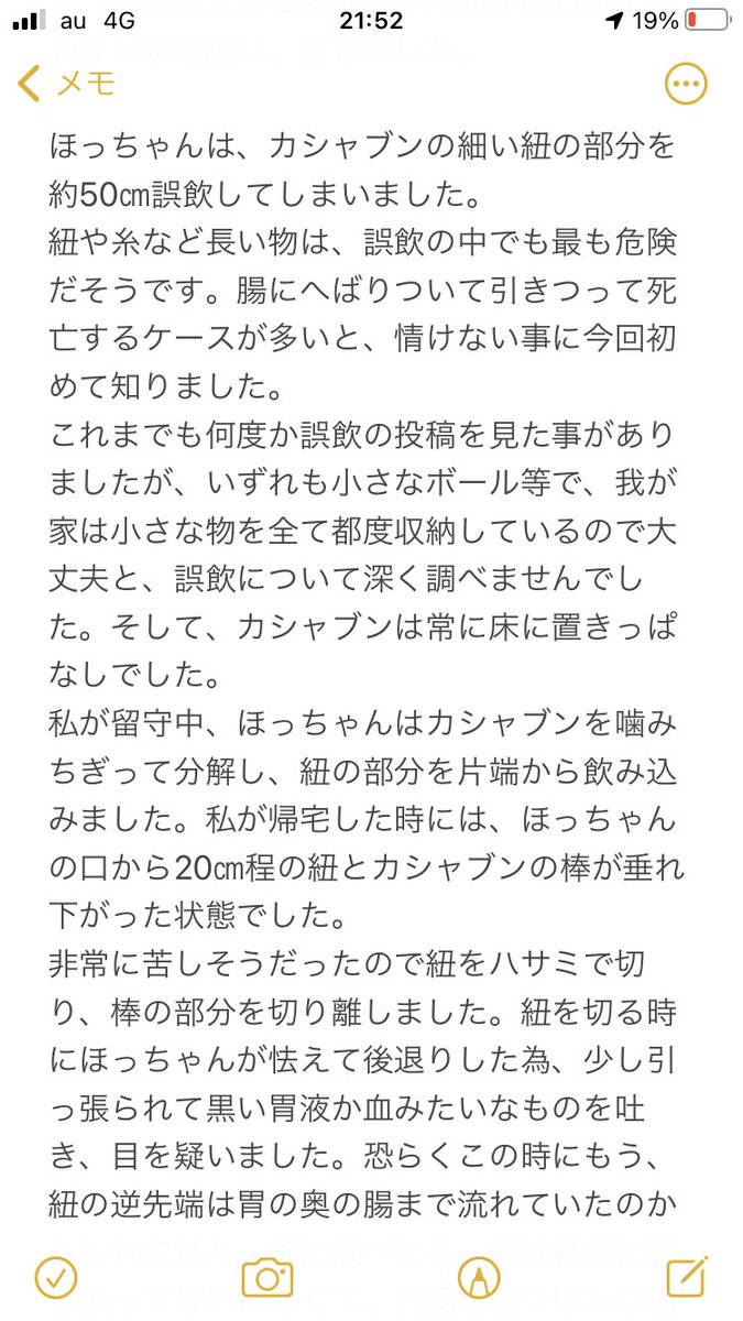   獣医さんが猫に「絶対渡さない」オモチャのリンクも貼ります