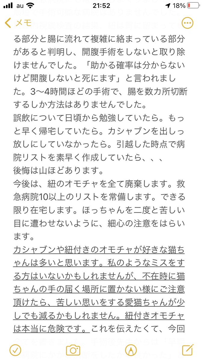 獣医さんが猫に「絶対渡さない」オモチャのリンクも貼ります