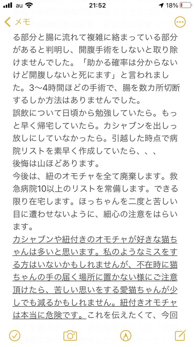   獣医さんが猫に「絶対渡さない」オモチャのリンクも貼ります