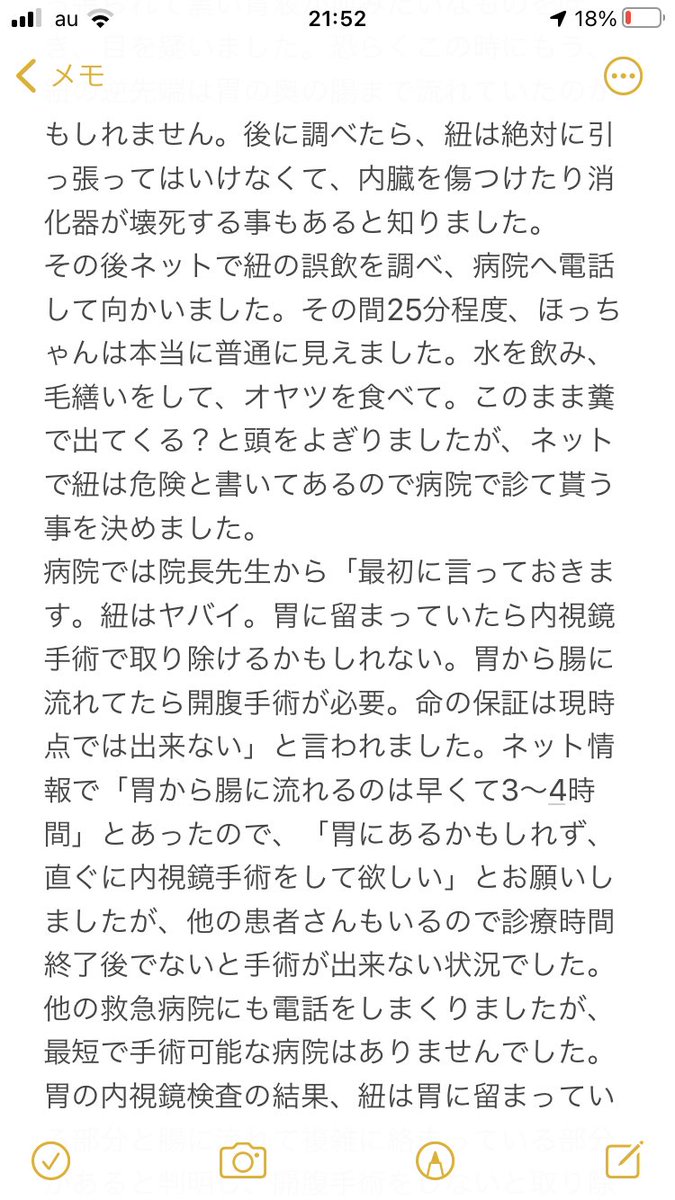 獣医さんが猫に「絶対渡さない」オモチャのリンクも貼ります