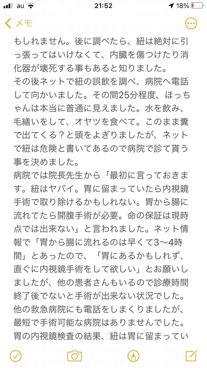   獣医さんが猫に「絶対渡さない」オモチャのリンクも貼ります