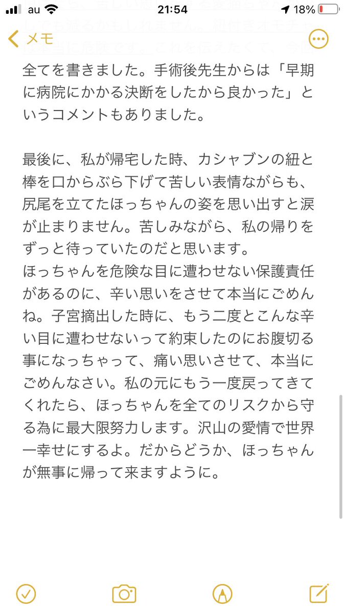 獣医さんが猫に「絶対渡さない」オモチャのリンクも貼ります