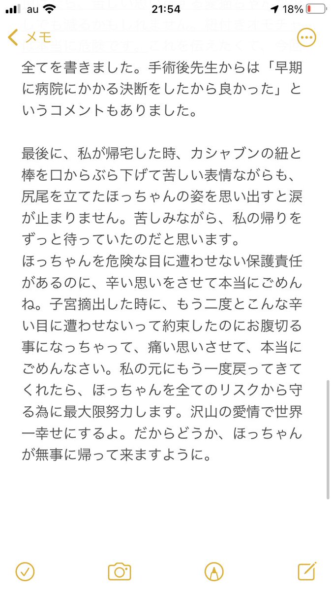   獣医さんが猫に「絶対渡さない」オモチャのリンクも貼ります