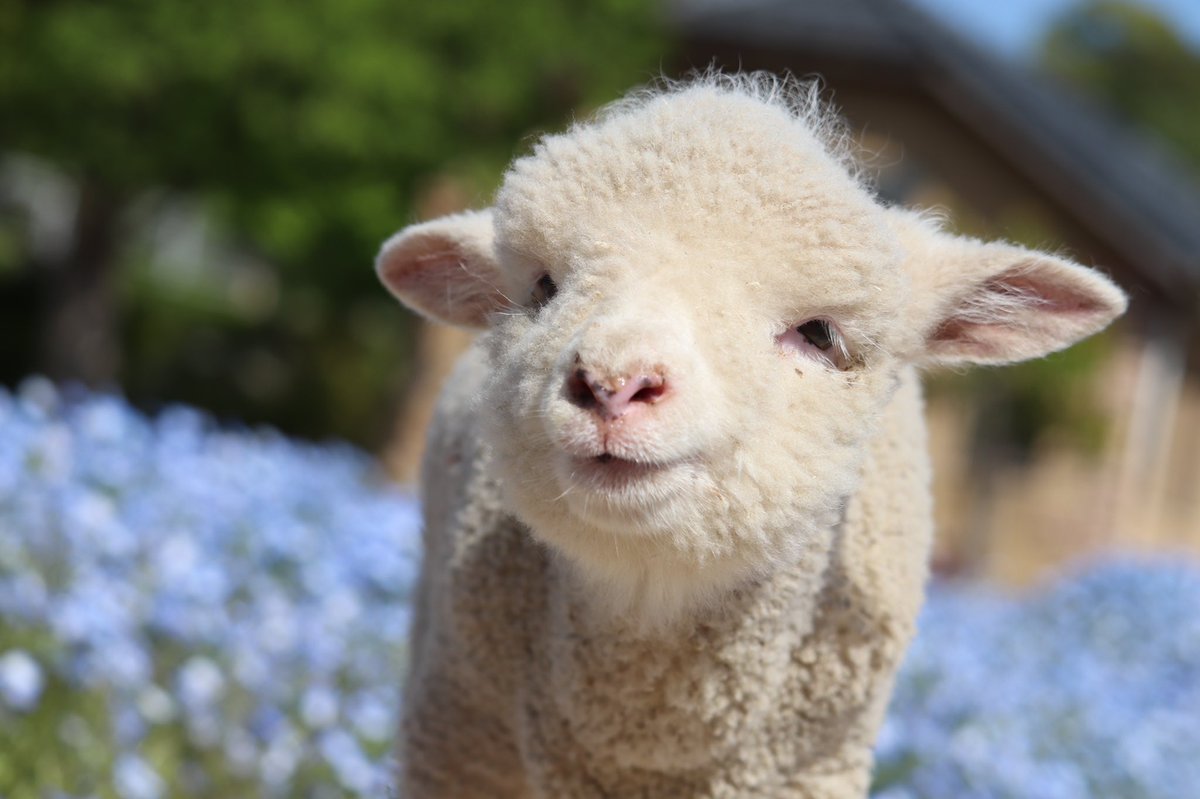 ここが天国なんかもしれん