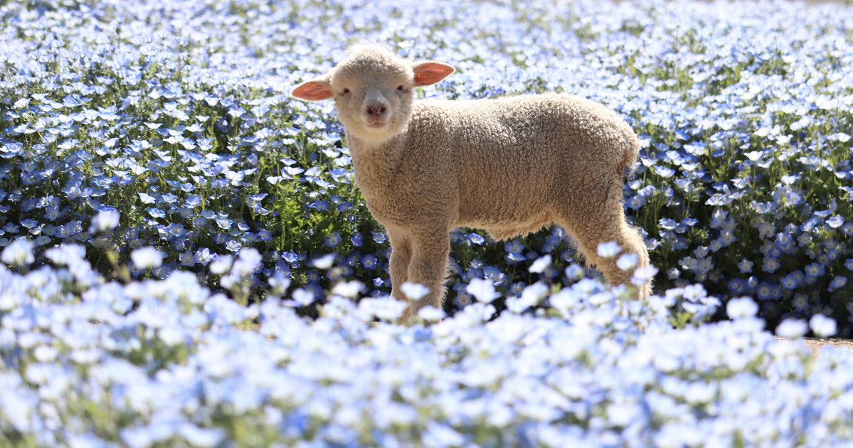 ここが天国なんかもしれん