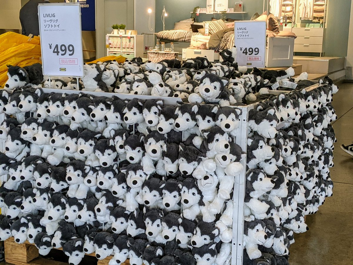 IKEA 入るなり犬が積まれている 