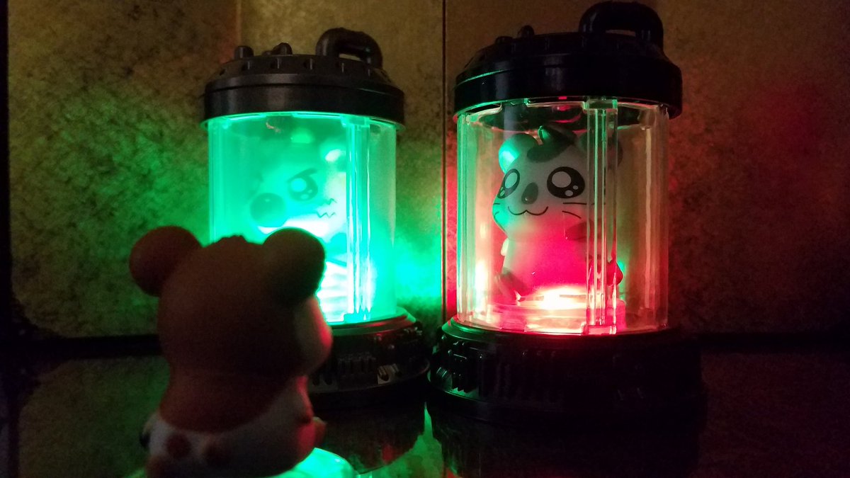 もうすぐなのだ… 