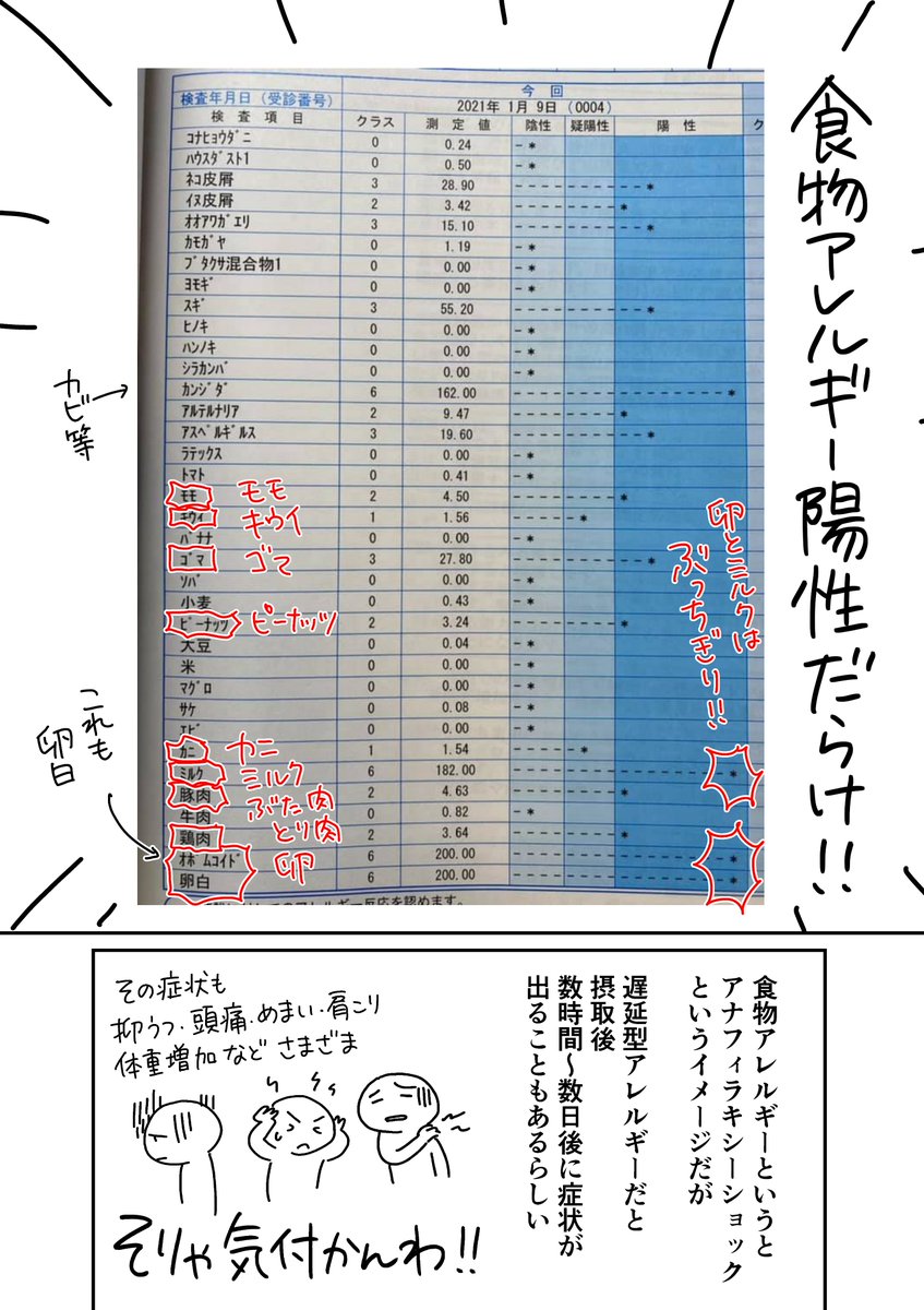 『隠れ食物アレルギーでした漫画』1/2 今後、友人知人にいちいち説明するのが面倒なので漫画にしました