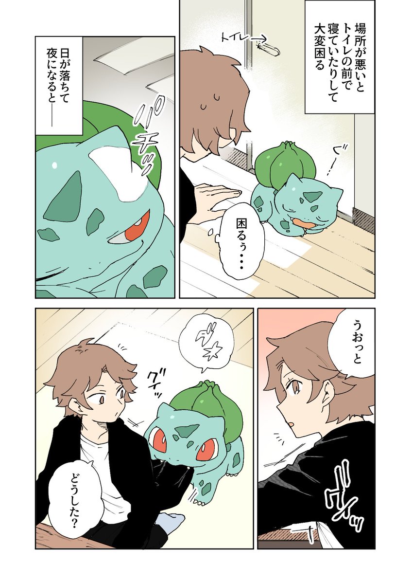 家の中にフシギダネが落ちている 