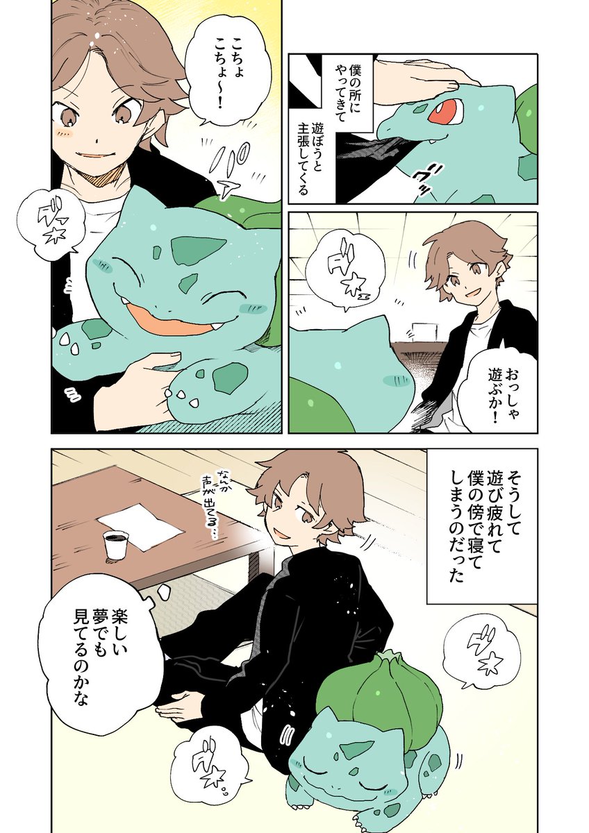 家の中にフシギダネが落ちている 