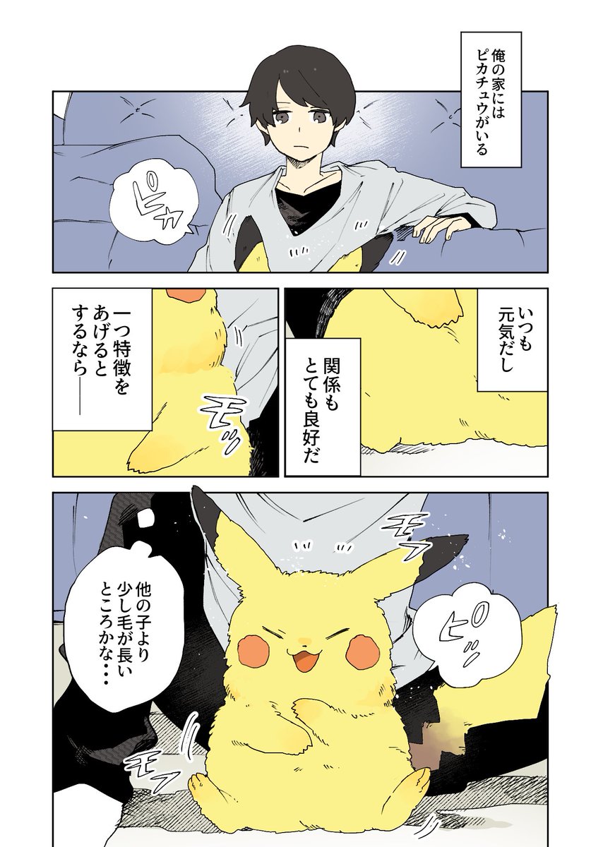 毛がモコモコなピカチュウ 