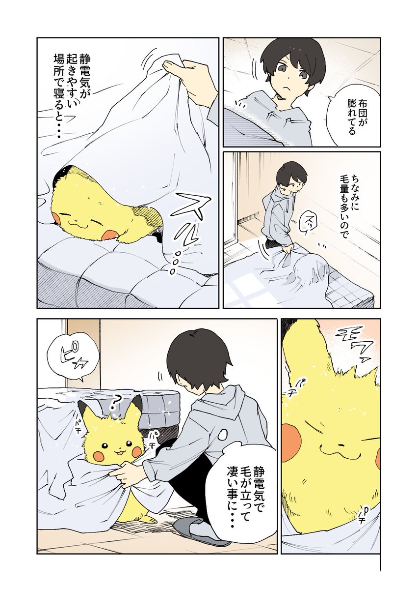 毛がモコモコなピカチュウ 