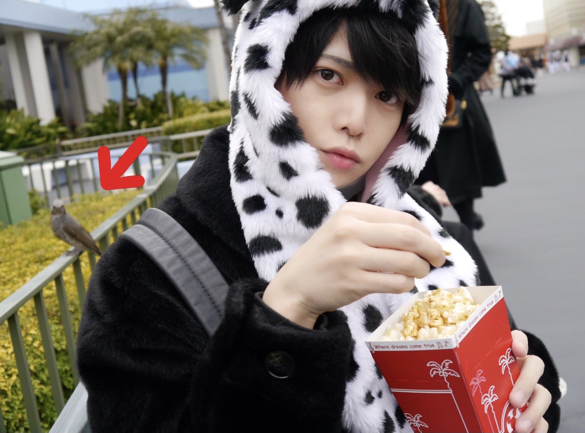 すげー奇跡起きたからみんな見てwww 