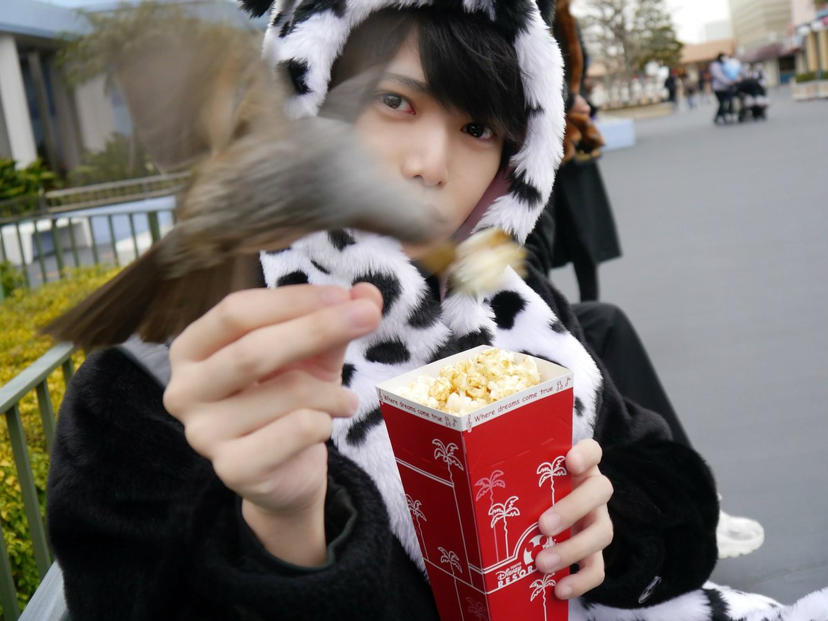 すげー奇跡起きたからみんな見てwww 