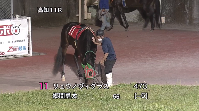   久々登場 パ　ド　ッ　ク　の　草　を　食　む　出　走　馬  まあ美味しそうに食べること…