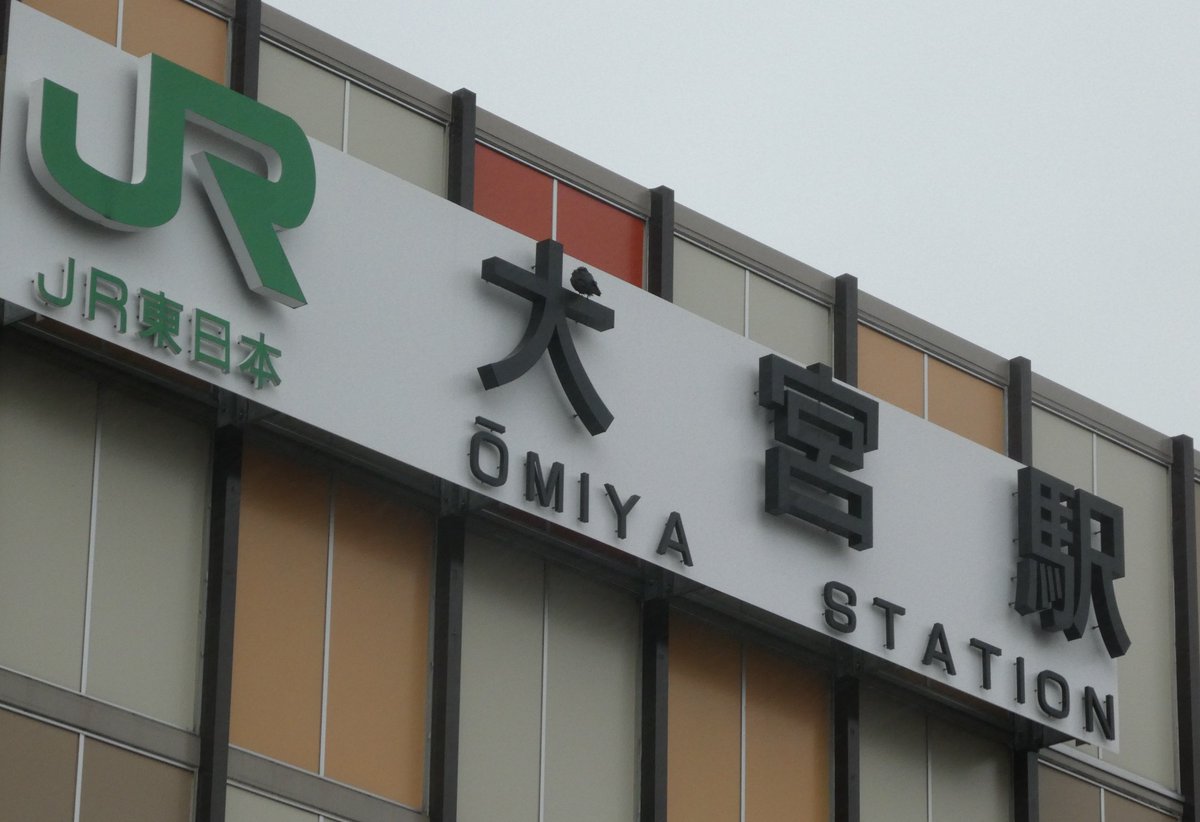 北千住駅や八王子駅の壁面文字は鳩の居場所になっていたり、大宮駅は烏がとまって犬宮駅になっていた事があった