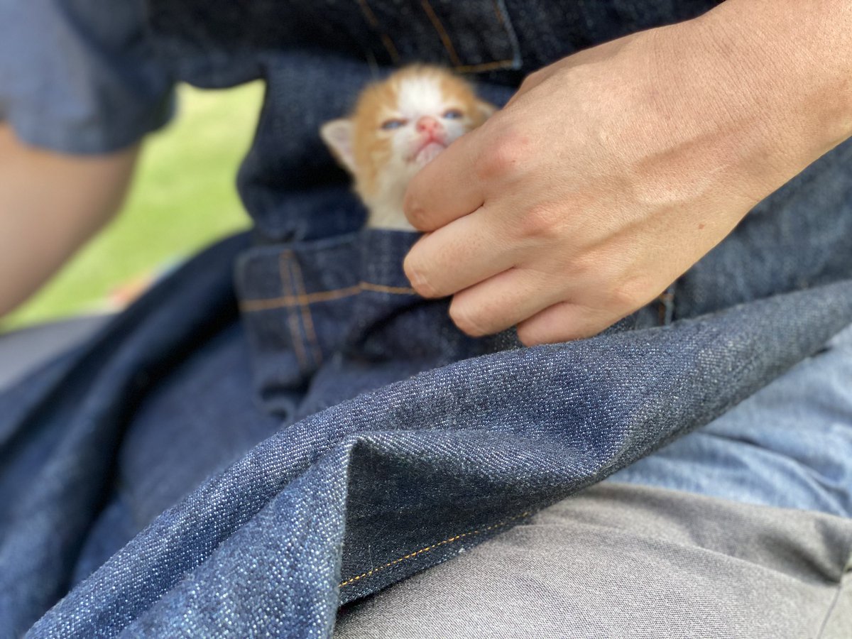 去年の夏は ポケットサイズうにもBBQに参加してたね  じじい達が代わる代わるポケットに入れてた 