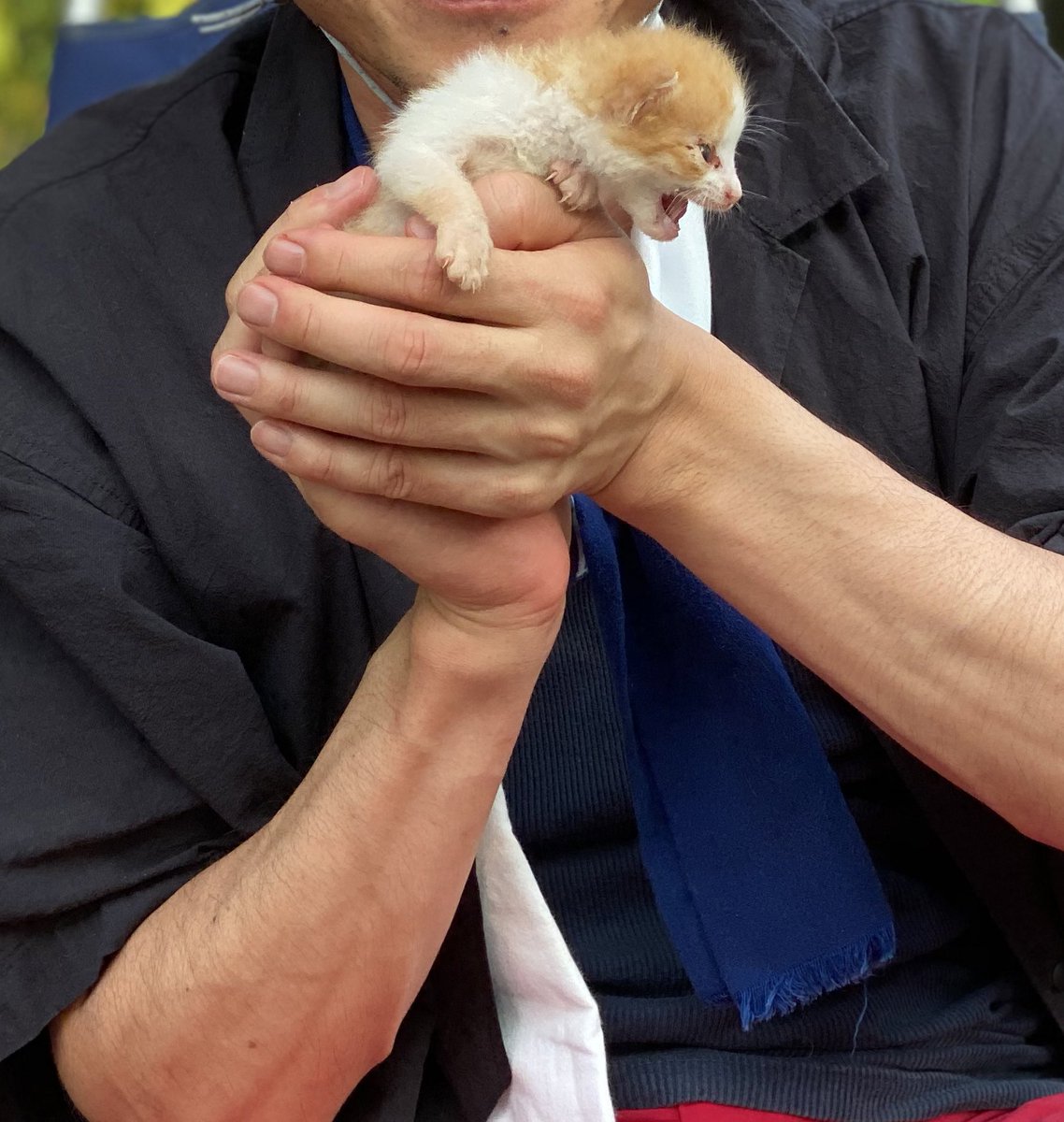 去年の夏は ポケットサイズうにもBBQに参加してたね  じじい達が代わる代わるポケットに入れてた 