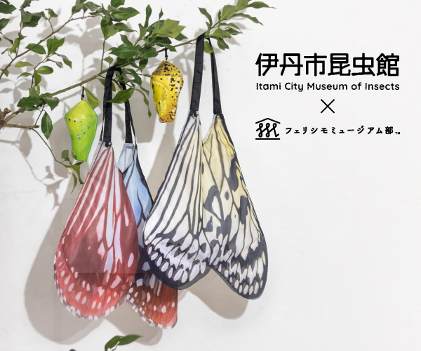 🦋伊丹市昆虫館とコラボ🦋 バタフライエコバッグ&サナギポーチ 卵から幼虫、さなぎから成虫へ…🐛 昆虫の不思議な成長過程「完全変態」のおもしろさをエコバッグに
