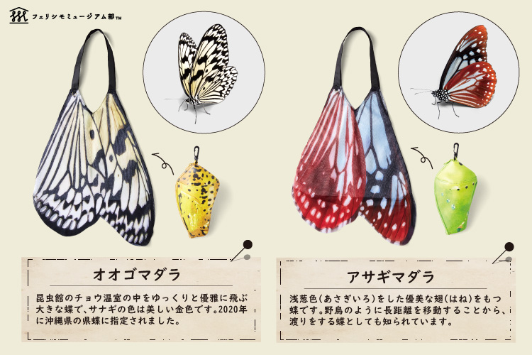 🦋伊丹市昆虫館とコラボ🦋 バタフライエコバッグ＆サナギポーチ  卵から幼虫、さなぎから成虫へ…🐛 昆虫の不思議な成長過程「完全変態」のおもしろさをエコバッグに