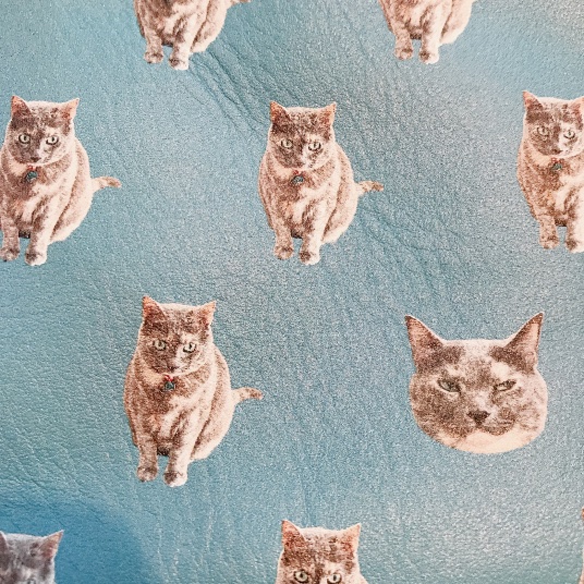 弟からの誕プレ、PAUL & JOEかな