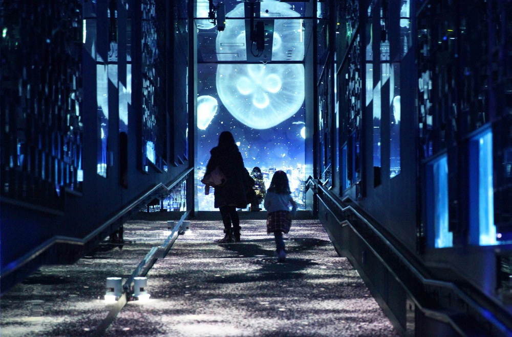 【レポート】すみだ水族館「雪とクラゲ」美しい冬の都会にクラゲ浮かぶ幻想空間、会場の様子を一足先に公開 -
