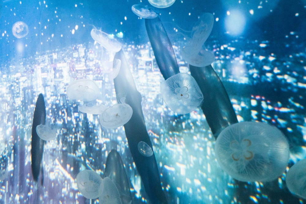 【レポート】すみだ水族館「雪とクラゲ」美しい冬の都会にクラゲ浮かぶ幻想空間、会場の様子を一足先に公開 -