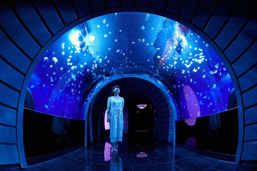池袋サンシャイン水族館に新クラゲエリア「海月空感」国内最大級のミズクラゲ水槽、限定ドリンクやクラゲぬいぐるみも -
