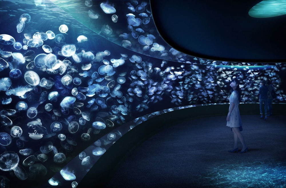 池袋サンシャイン水族館に新クラゲエリア「海月空感」国内最大級のミズクラゲ水槽、限定ドリンクやクラゲぬいぐるみも -
