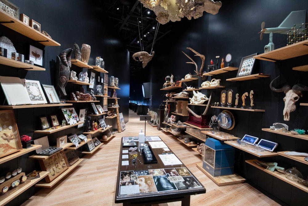 「角川武蔵野ミュージアム」所沢に図書館×美術館×博物館の文化複合施設が本日オープン、高さ8メートルの「本棚劇場」も -