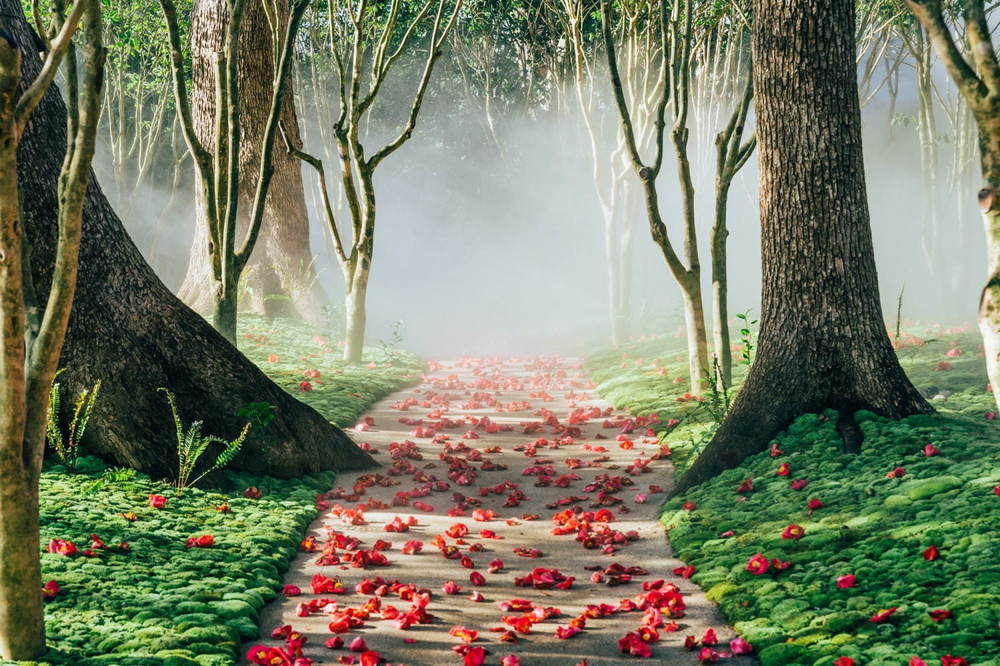 ホテル椿山荘東京「椿絵巻」“つばきの絨毯”＆雲海が織り成す絶景インスタレーション、限定スイーツも -  