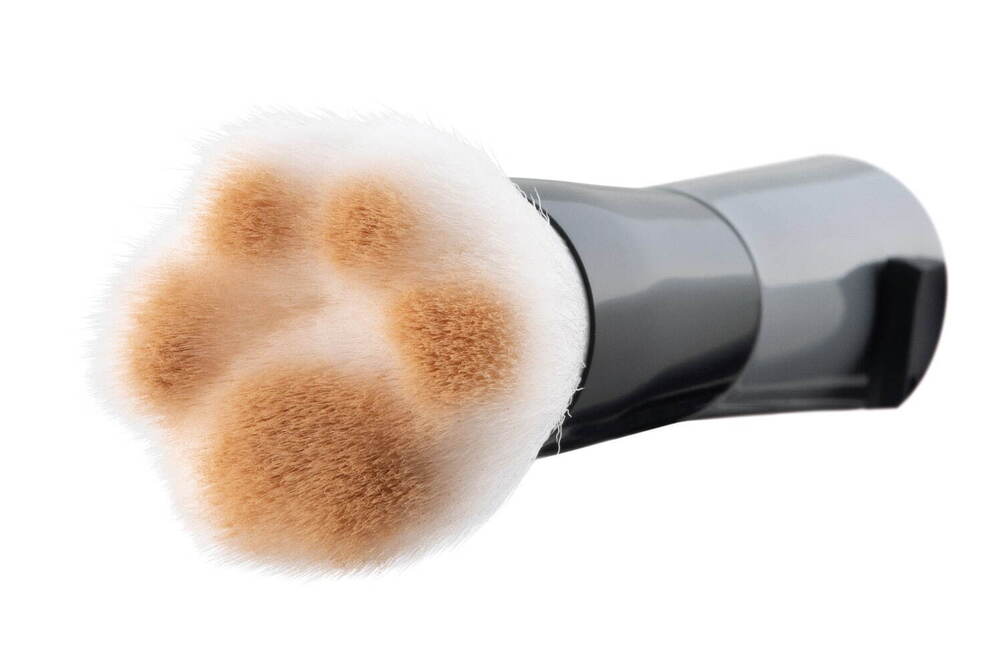 “ねこ”のビューティーツール「ニャーミング」ねこ耳付きカーラーや毛抜き、肉球型メイクブラシなど -  