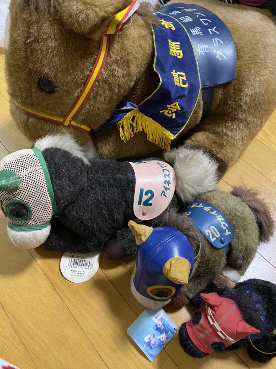 子供の頃背中に乗ったり引っ張ったりして遊んでたウマのぬいぐるみがグラスワンダーの有馬記念のやつだったらしく、ウマ娘のグラスワンダーが僕の中で急に「子供の頃遊んでもらってたお姉さん」になりました　興奮する 