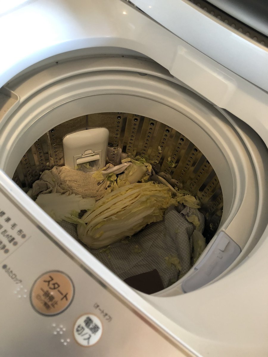 めっちゃ死にたい白菜洗濯してもた、、、 