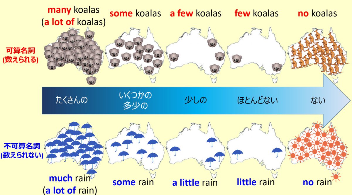 大好評の「コアラで学ぶ英語シリーズ」により、2日で3万人、1週間で5万人フォロワー増
