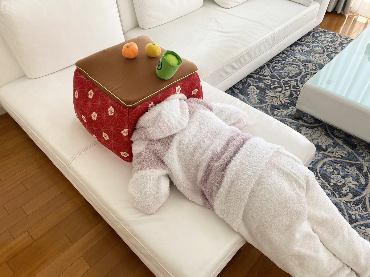 人は猫を飼うとこうなります 