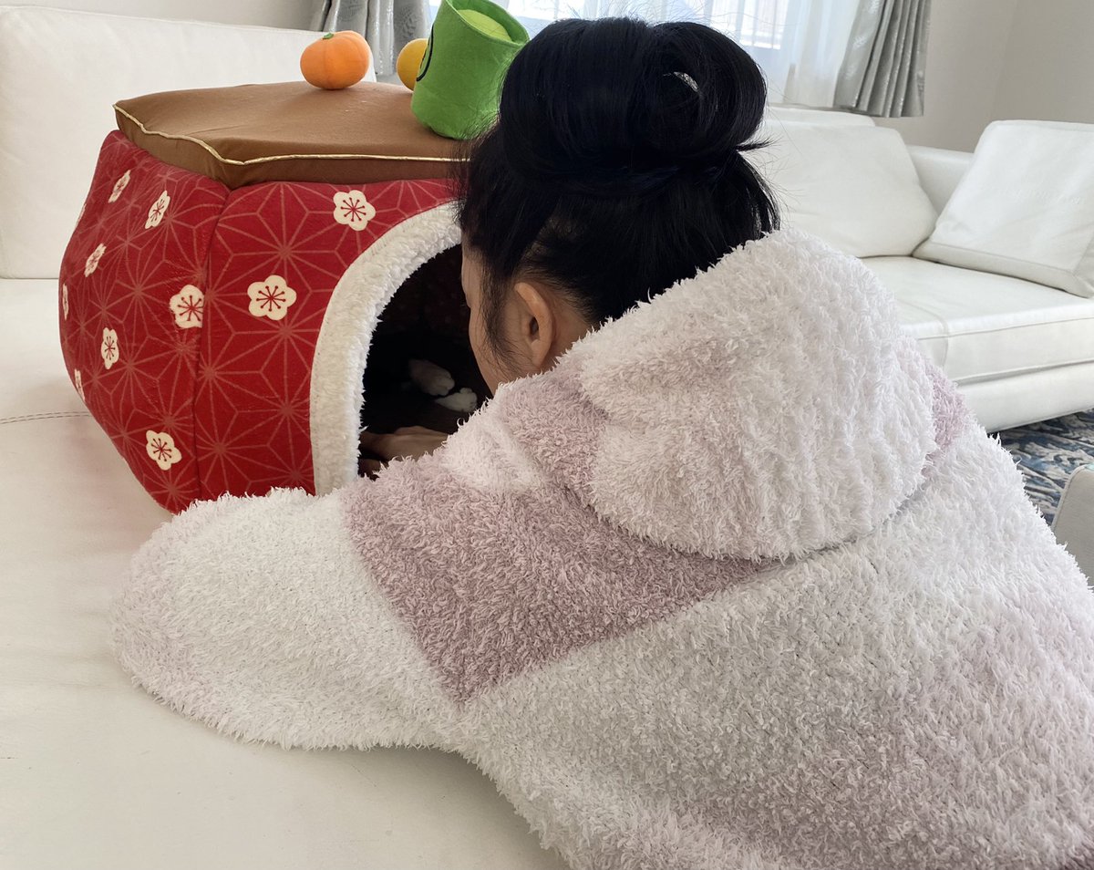 人は猫を飼うとこうなります 