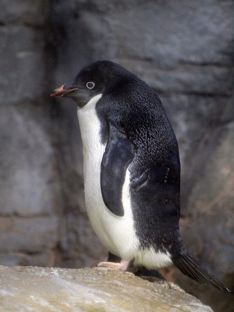 仕事中の私かと思った 