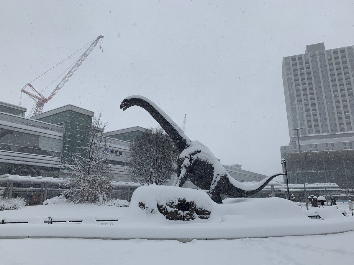 ＪＲ福井駅前の現在の様子です。 