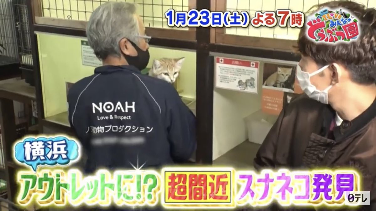 何か嫌な予感が… 