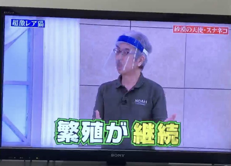 何か嫌な予感が… 