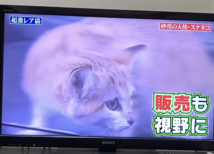 何か嫌な予感が… 