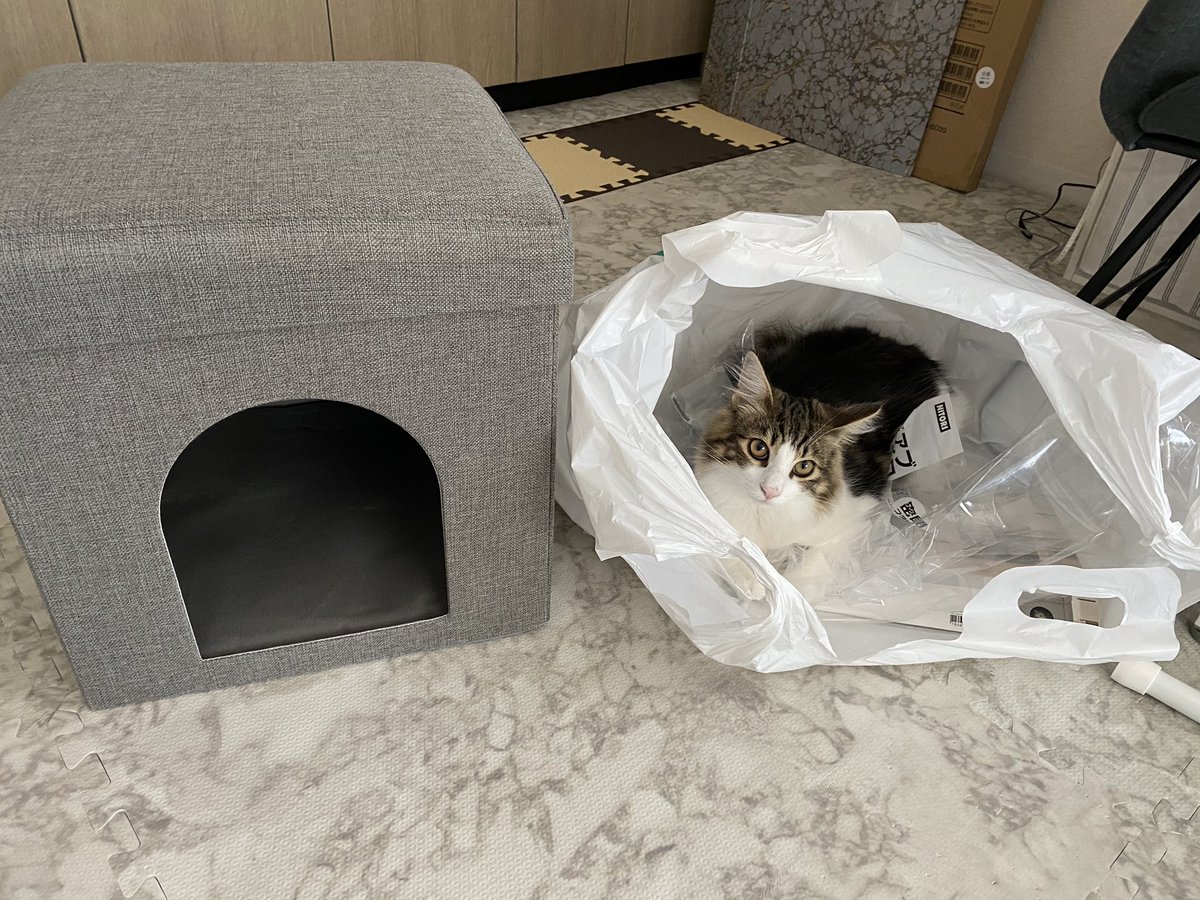 ニトリの「座れる室内用ペットハウス」買いました