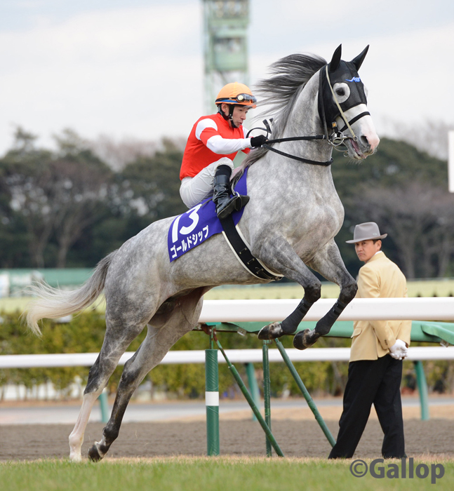 昨日はたくさん反響をいただきましたので、 ゴルシウィークを待ちきれない方たちに ゴルシちゃんを大放出‼  #ゴールドシップ　#ゴルシ　#ゴルシウィーク #ゴルシちゃん　#ウマ娘 