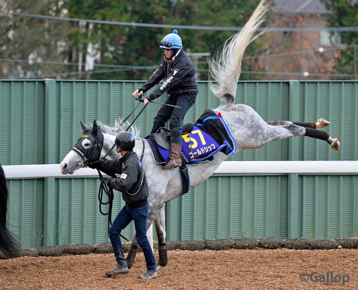 昨日はたくさん反響をいただきましたので、 ゴルシウィークを待ちきれない方たちに ゴルシちゃんを大放出‼  #ゴールドシップ　#ゴルシ　#ゴルシウィーク #ゴルシちゃん　#ウマ娘 