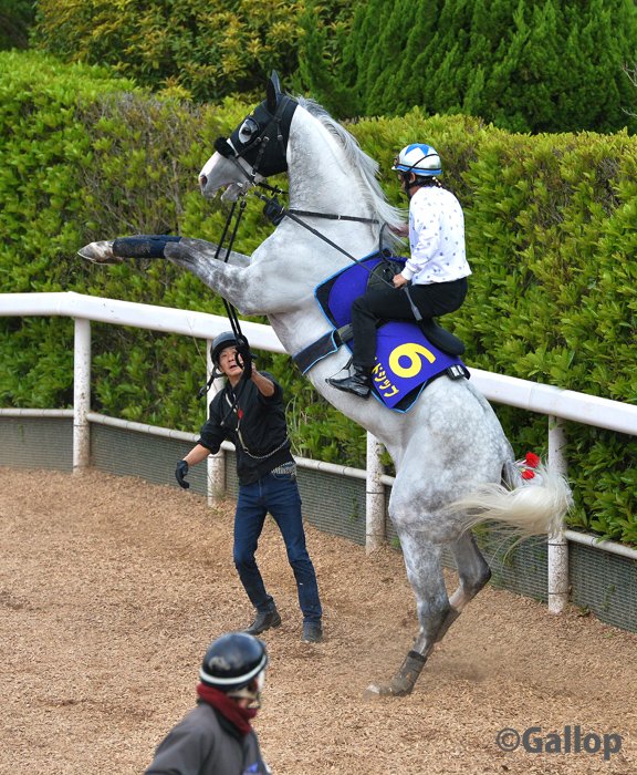 昨日はたくさん反響をいただきましたので、 ゴルシウィークを待ちきれない方たちに ゴルシちゃんを大放出‼  #ゴールドシップ　#ゴルシ　#ゴルシウィーク #ゴルシちゃん　#ウマ娘 
