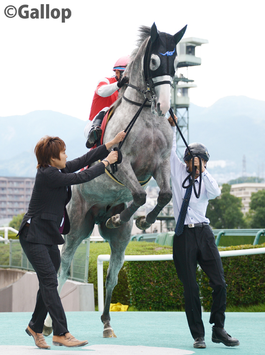 昨日はたくさん反響をいただきましたので、 ゴルシウィークを待ちきれない方たちに ゴルシちゃんを大放出‼  #ゴールドシップ　#ゴルシ　#ゴルシウィーク #ゴルシちゃん　#ウマ娘 