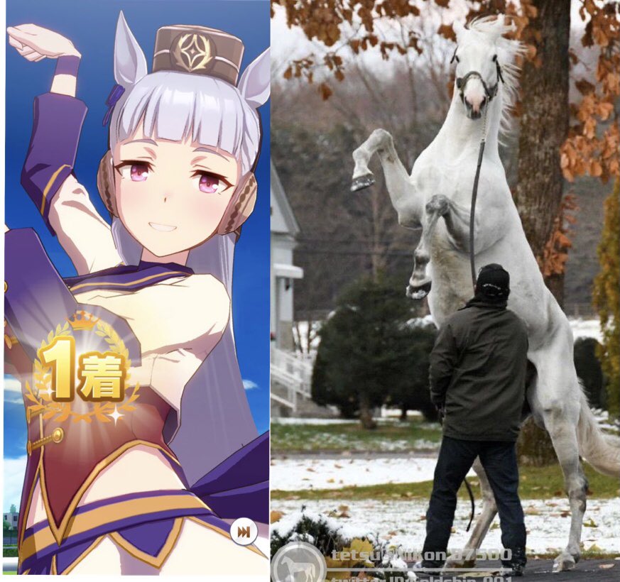 #ウマ娘 勝利ポーズ　元ネタ集 